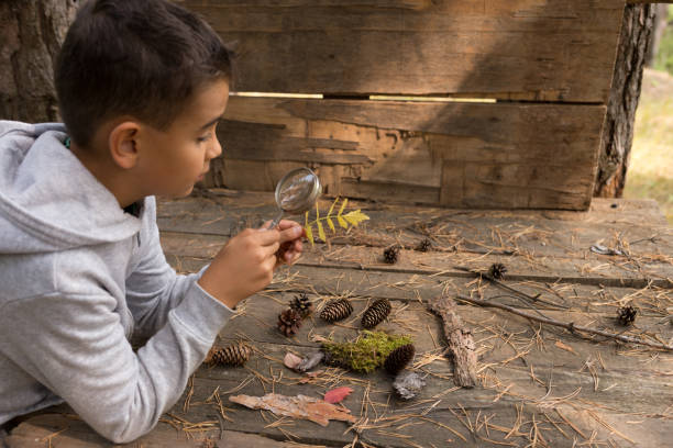 10 Fall Science Activities to Try in Your Homeschool
