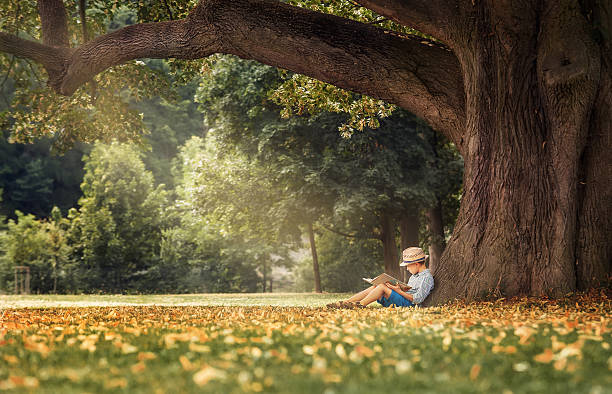25+ Thanksgiving Books for Children That Teach Gratitude and History