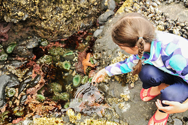 The Pros and Cons of Homeschooling (From a Real Parent’s Perspective)