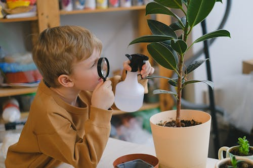 The Ultimate Guide to Affordable STEM Resources for Homeschoolers