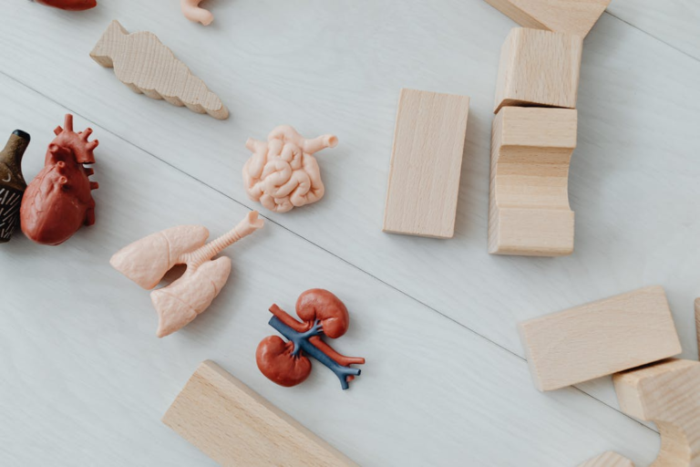 Top Amazon Learning Toys Your Child Will Actually Use (Age-by-Age Guide)